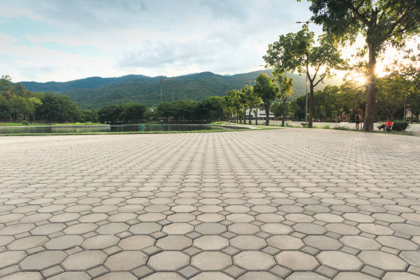 Best Custom Driveway Pavers  in South Pittsburg, TN